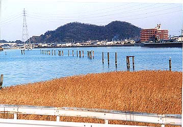 埋め立て予定地の写真
