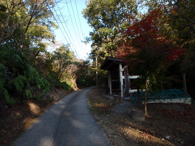 ooyama24.jpg