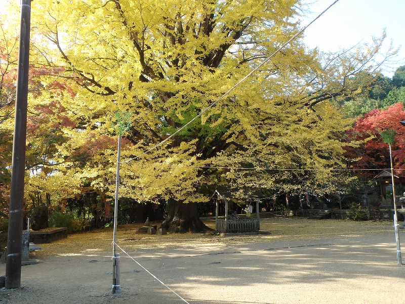 ooyama59.jpg