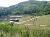 asahiga05_thumb.png