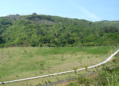 asahiga06.jpg