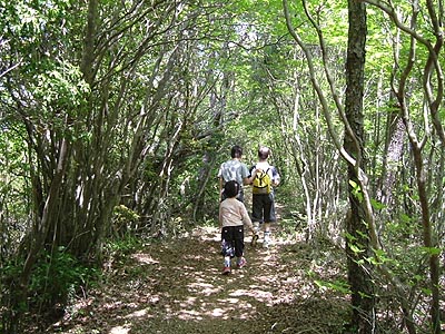 asahiga13.jpg