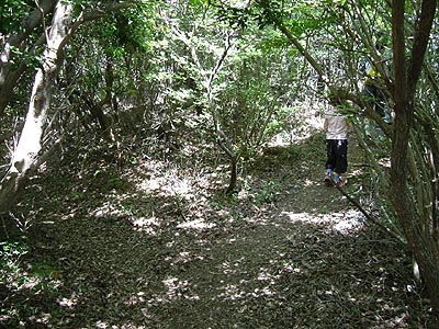 asahiga14.jpg