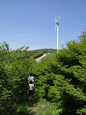 asahiga15.jpg