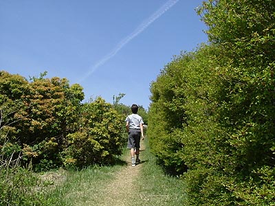 asahiga19.jpg
