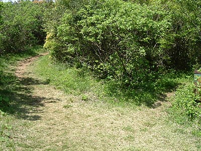 asahiga20.jpg