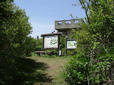 asahiga21.jpg