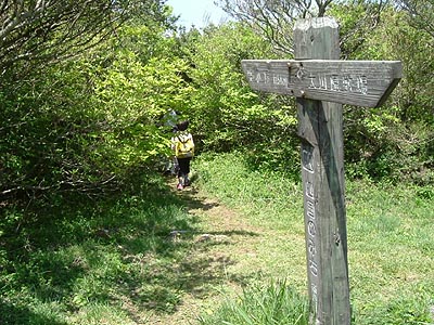 asahiga25.jpg