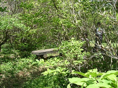 asahiga28.jpg