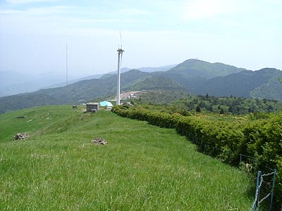 asahiga33.jpg