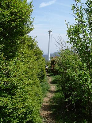 asahiga34.jpg