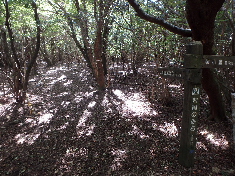 asahiga58.jpg