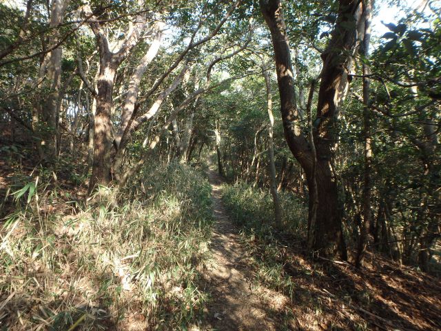 bizan098.jpg