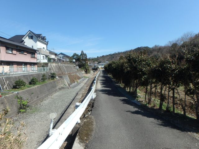 bizan004.jpg