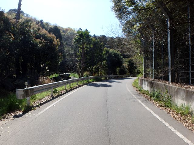 bizan08.jpg