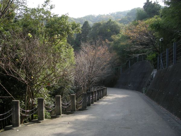 bunmori06.jpg