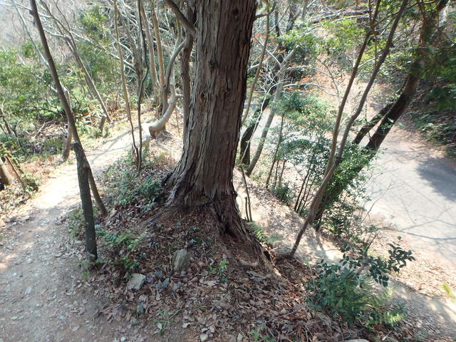 bunmori096.jpg