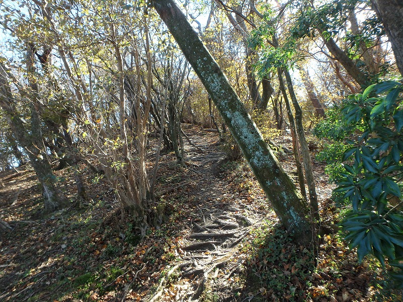nantaka20.jpg
