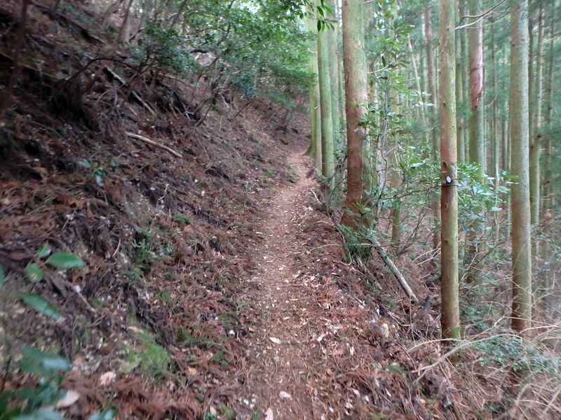 nktmn099.jpg