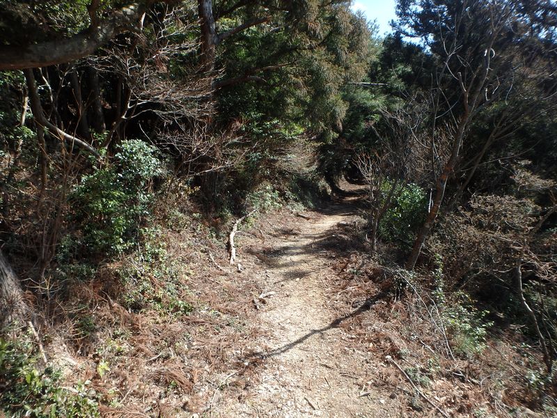 nktmn012.jpg