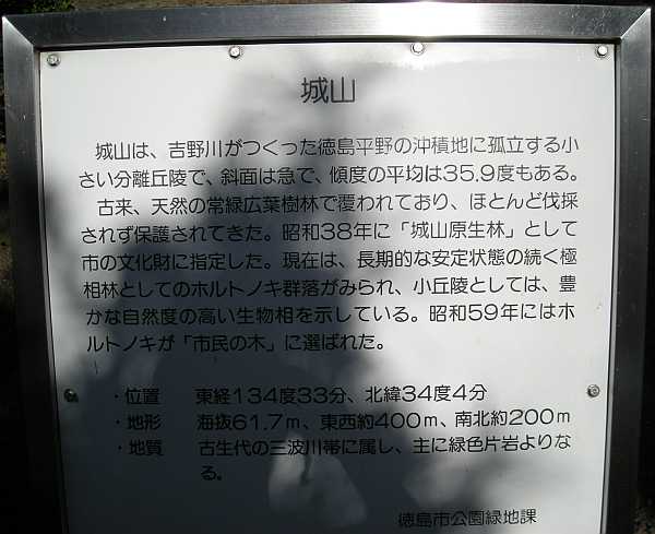 siro05.jpg
