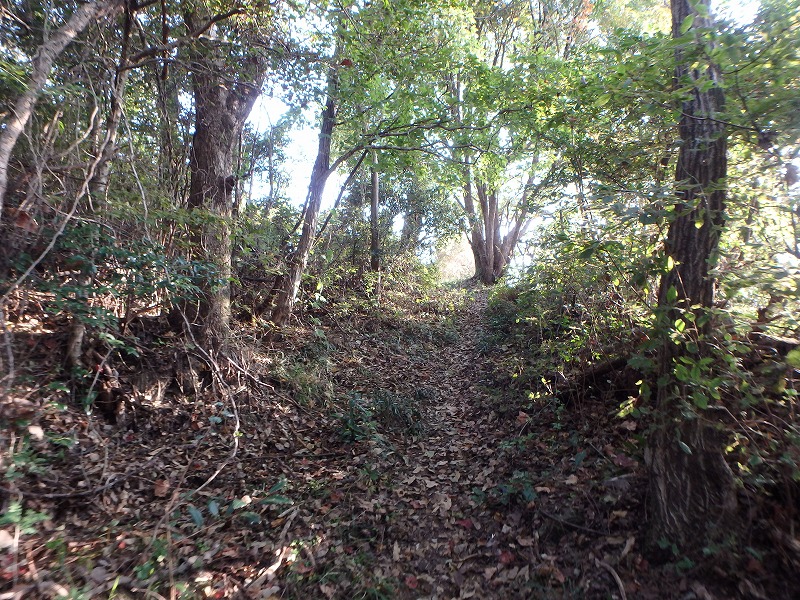 ooyama14.jpg