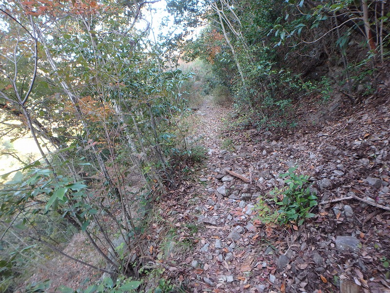 ooyama29.jpg