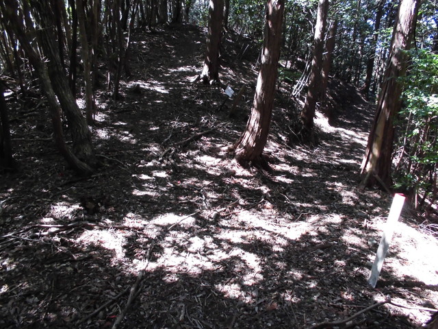 yahazu073.jpg