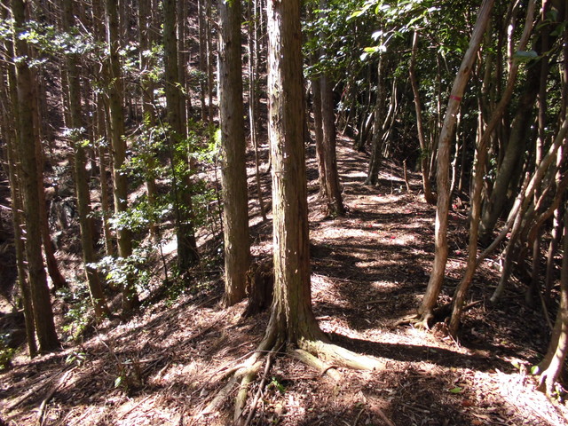 yahazu091.jpg