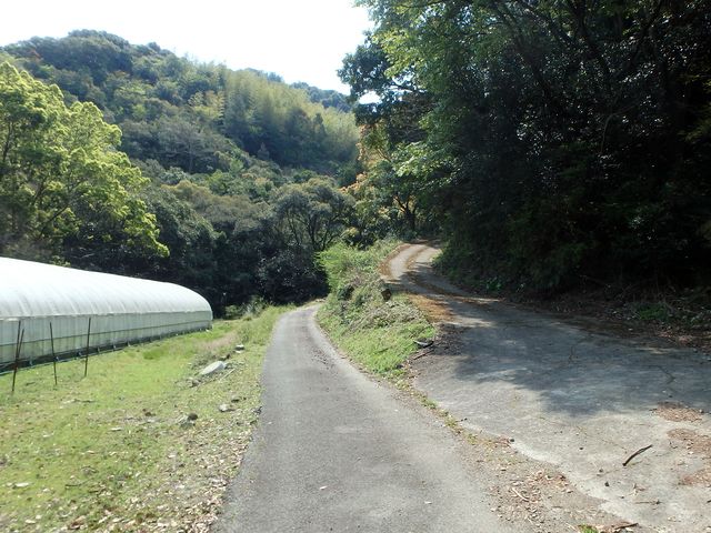 myoujin029.jpg