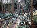 otonbo10_thumb.png