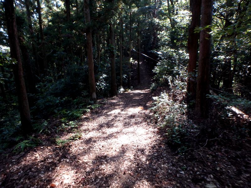 otonbo19.jpg