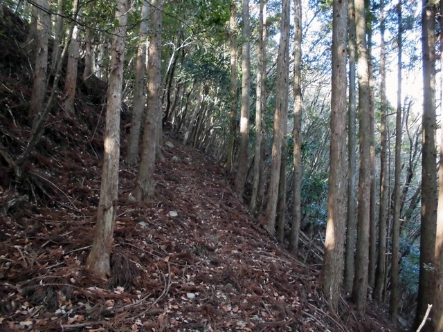 ryuou045.jpg
