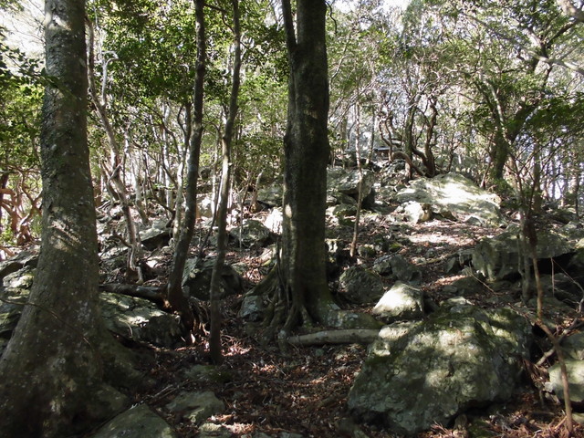 ryuou078.jpg
