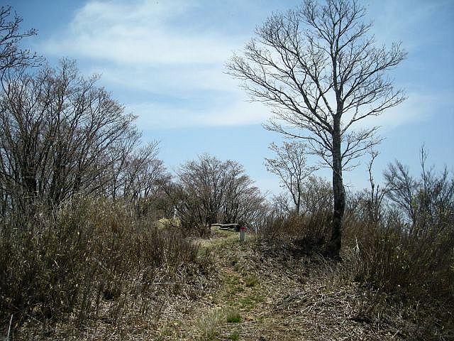 takasiro21.jpg