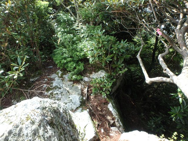 toisi071.jpg