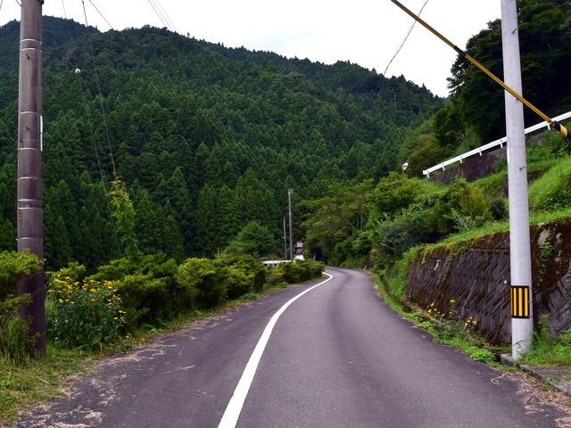 yamainu016.jpg