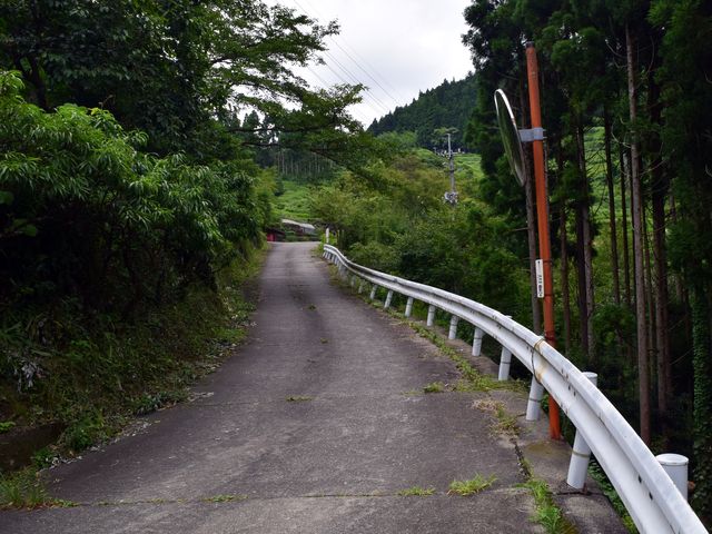 yamainu020.jpg