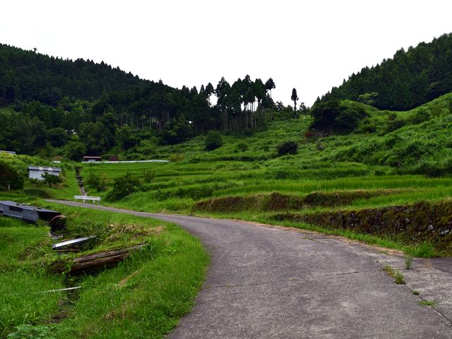 yamainu022.jpg