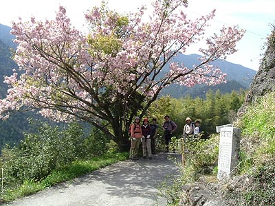 yi06.jpg