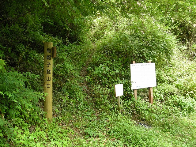ebosi001.jpg