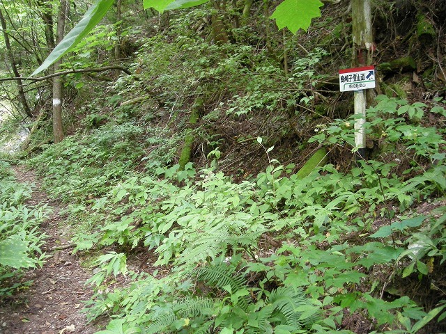 ebosi005.jpg
