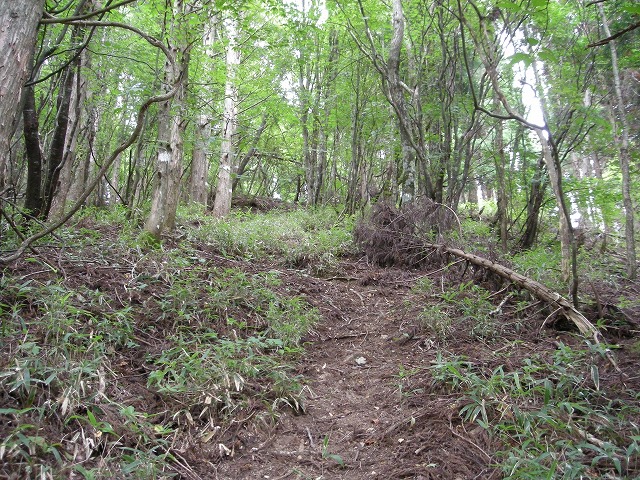 ebosi012.jpg
