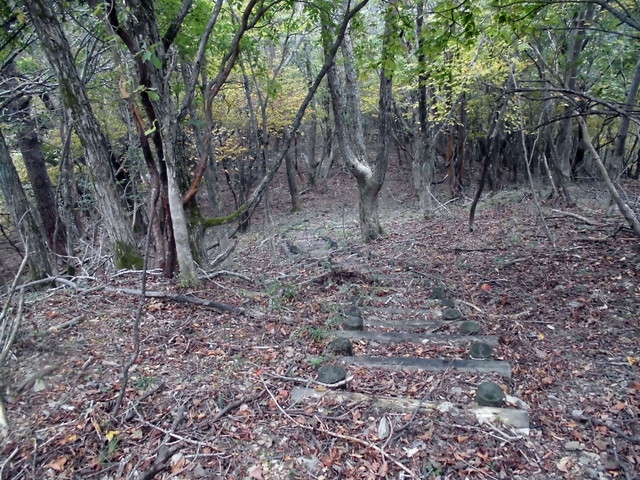 hiuti07.jpg
