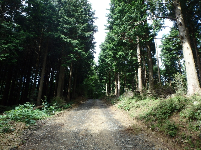 isidou012.jpg