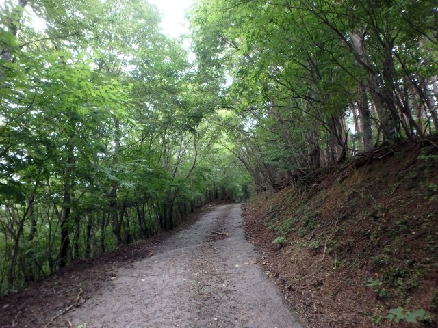 isidou017.jpg