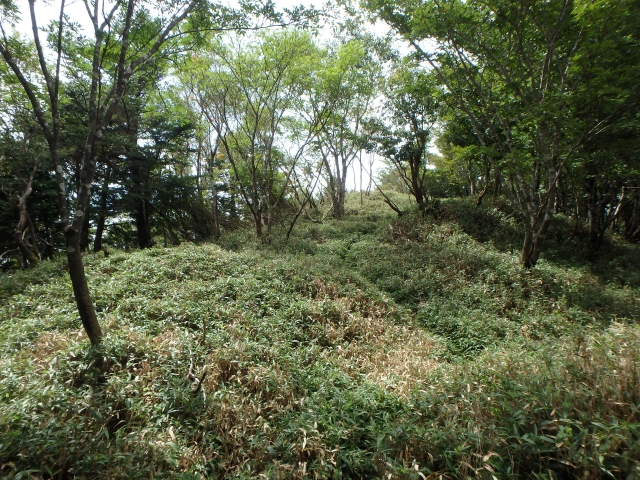 isidou149.jpg