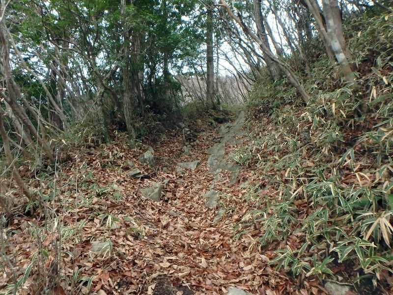 kunimi11.jpg