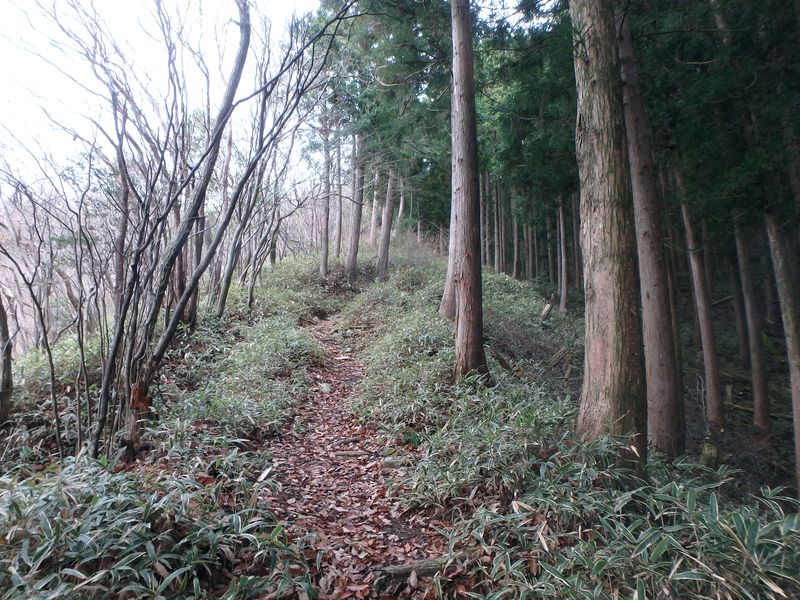 kunimi16.jpg
