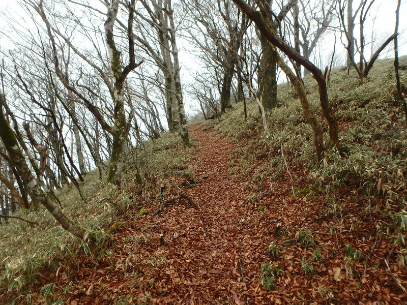 kunimi63.jpg